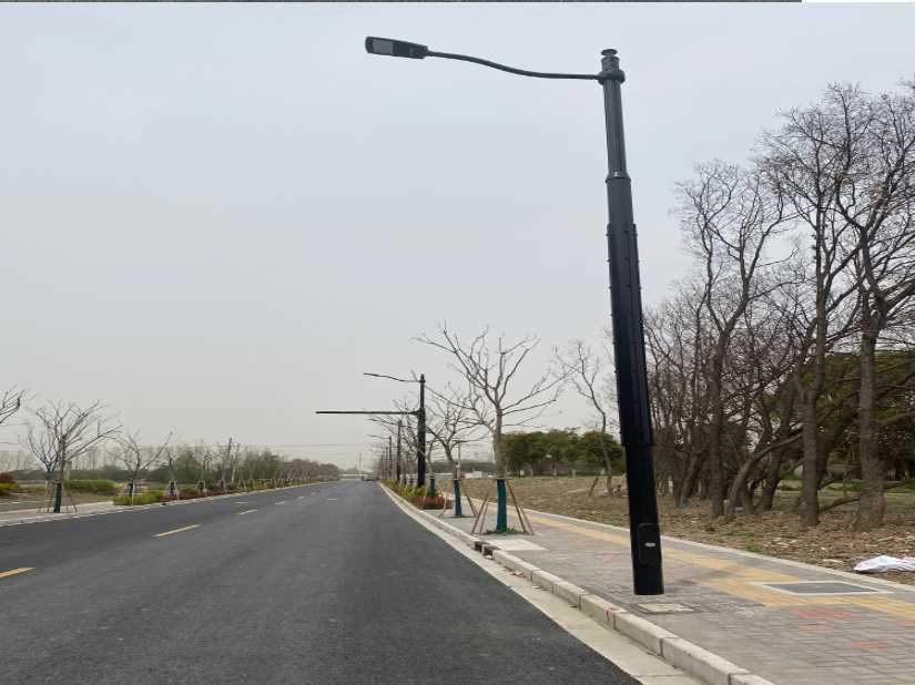 新县上海综合杆 太阳能路灯工程